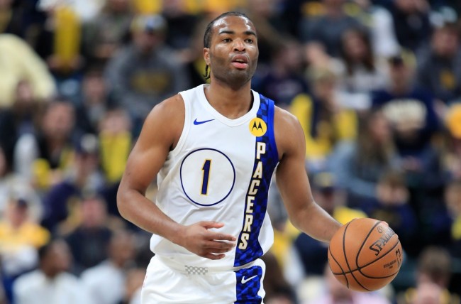 了自己的实 了自己的实